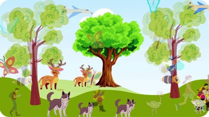 Video animasi - taman - pohon