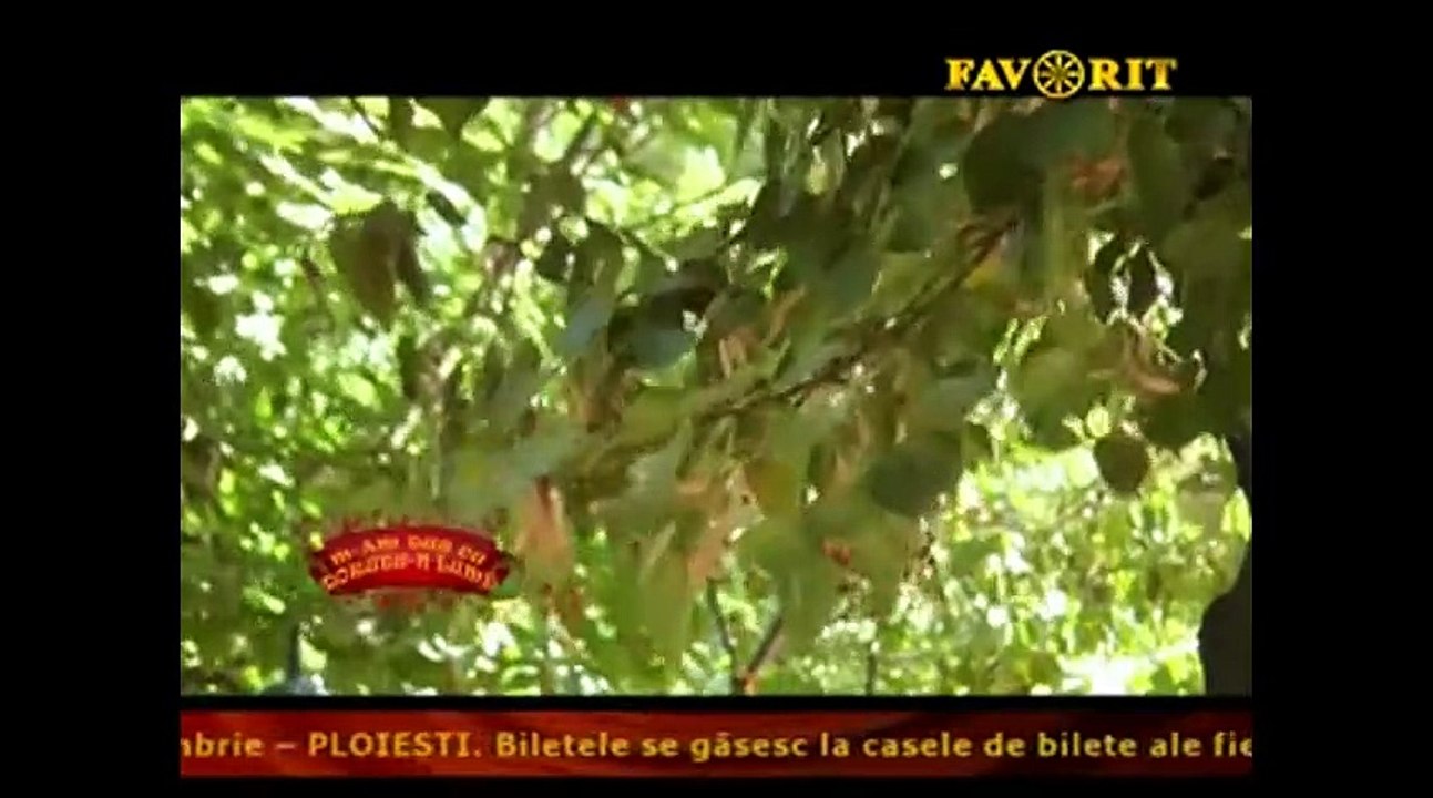 Eufimia Dogaru - Vreau sa fug din tine, lume (M-am dus cu dorutu-n lume - Favorit TV - 21.11.2016)