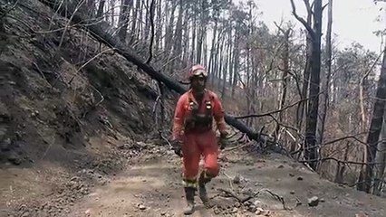 Incêndio na ilha espanhola de Tenerife está 'estabilizado', afirmam autoridades