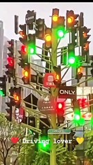 Signal difficulties while driving | Tag to your driver friend