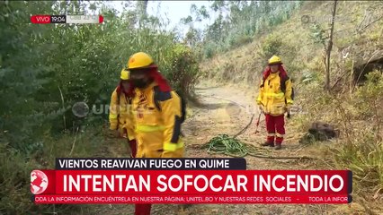 La Paz: Incendio forestal en Quime consumió más de 120 hectáreas 
