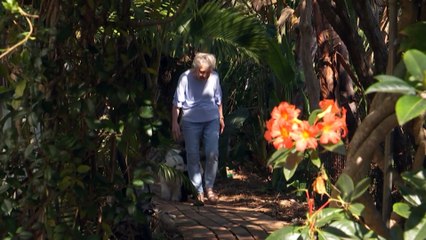 Jail time, breed bans proposed to prevent dog attacks in Qld