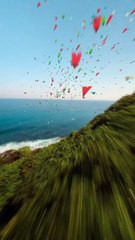 "Oceanic Symphony: Thousand Paper Planes Take Flight"