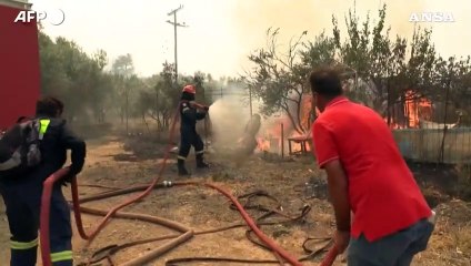 Grecia, incendi alla periferia di Atene: evacuati centri abitati