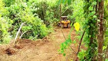 D6R XL Bulldozer Process Makes New Roads in the Forest