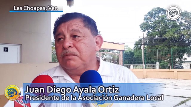 Ganaderos exponen robo de animales a la asociación ganadera local