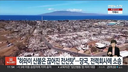 "하와이 산불 주범은 끊어진 전선"…당국, 전력회사에 소송