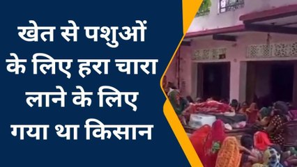 प्रयागराज: स्टे वायर में उतरे करंट की चपेट में आकर बुजुर्ग झुलसा, इलाज के दौरान हुई मौत
