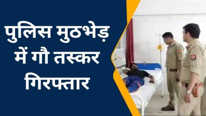 इटावा: पुलिस मुठभेड़ में गौ तस्कर गिरफ्तार, पैर में लगी गोली