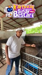 Rasai pengalaman menunggang kuda di Dataran Karangkraf Seksyen 15, Shah Alam