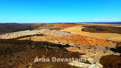 Desmatamento em São João d'Aliança (GO)