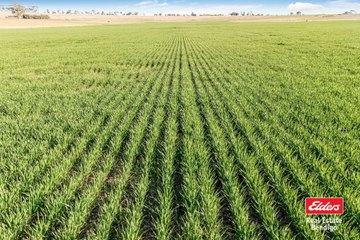 Carisbrook farm for sale | August 25, 2023 | Farmonline