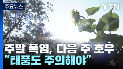 [날씨] 주말 폭염 뒤 다음 주 호우..."태풍도 주의해야" / YTN
