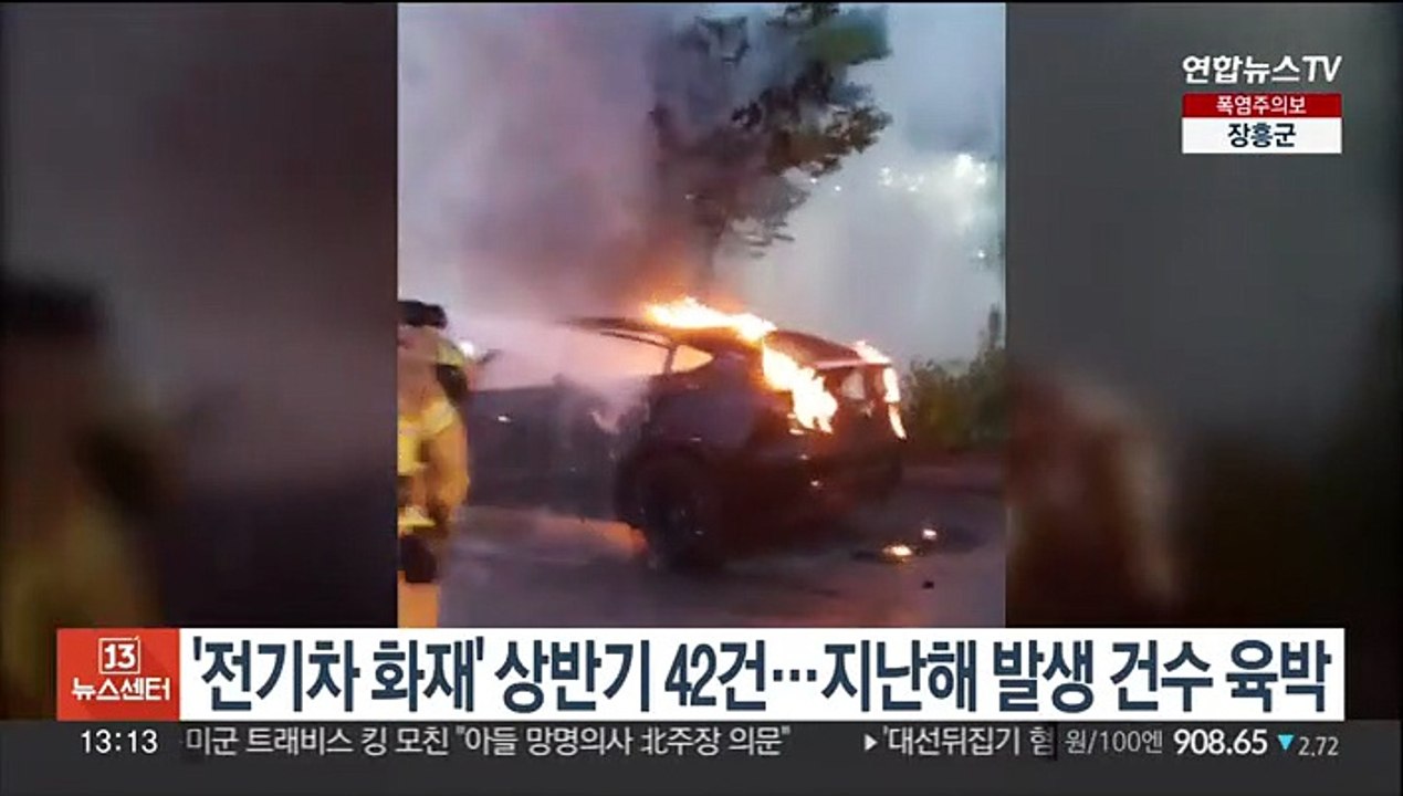 '전기차 화재' 상반기 42건…지난해 발생 건수 육박