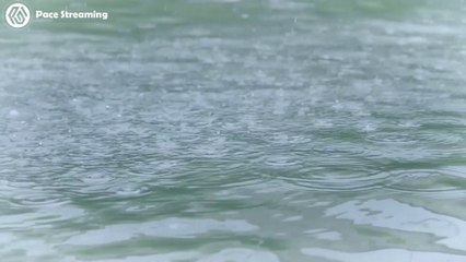 Soothing Rain Sounds & Relaxing Music for Mind and Spirit - Stress Relief and Meditation