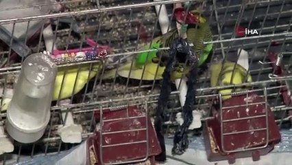 Gece yarısı esrarengiz patlama! Duyan kendisini sokağa attı