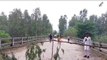 रामपुर: लगातार तेजी से बढ़ रहा नदी का जलस्तर, पुल हुआ क्षतिग्रस्त