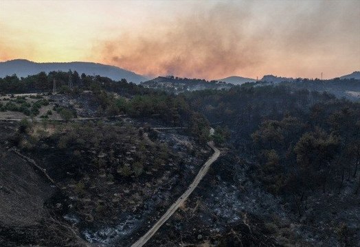 Çanakkale yangın kontrol altına alındı mı? ÇANAKKALE YANGIN SON DURUM! Orman yangını söndürüldü mü?