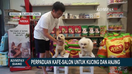 Paws Bay Tawarkan One Stop Solution Bagi Pecinta Anabul di Manado!
