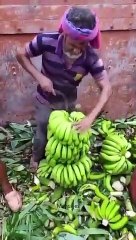 Great Dexterity #shorts #viral #shortsvideo #video #innovationhub