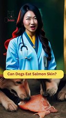 Can Dogs Eat Salmon Skin | Dog Food Review | Zudaan