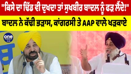 "ਕਿਸੇ ਦਾ ਢਿੱਡ ਵੀ ਦੁਖਦਾ ਤਾਂ Sukhbir Badal  ਨੂੰ ਫੜ ਲੈਂਦੇ!" ਬਾਦਲ ਨੇ ਕੱਢੀ ਭੜਾਸ |OneIndia Punjabi