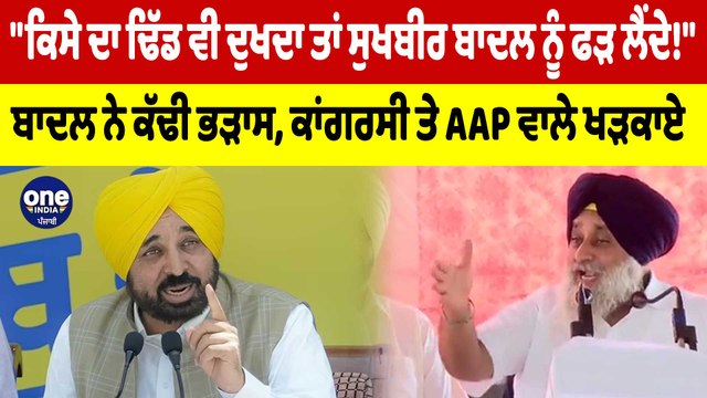 ਕਿਸੇ ਦਾ ਢਿੱਡ ਵੀ ਦੁਖਦਾ ਤਾਂ Sukhbir Badal ਨੂੰ ਫੜ ਲੈਂਦੇ! ਬਾਦਲ ਨੇ ਕੱਢੀ ਭੜਾਸ |OneIndia Punjabi