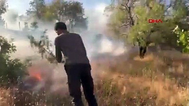 Diyarbakır’da orman yangını: Geniş alana yayıldı!