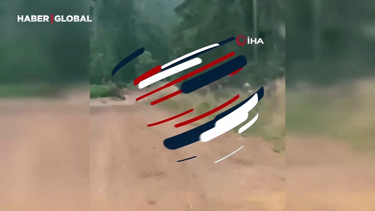 Yer Gümüşhane: Nesli tükenme tehlikesi altında olan vaşak ile sohbet eden vatandaş güldürdü