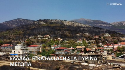 Έβρος: Μια ακόμη σορός εντοπίστηκε στην περιοχή της Λευκίμμης