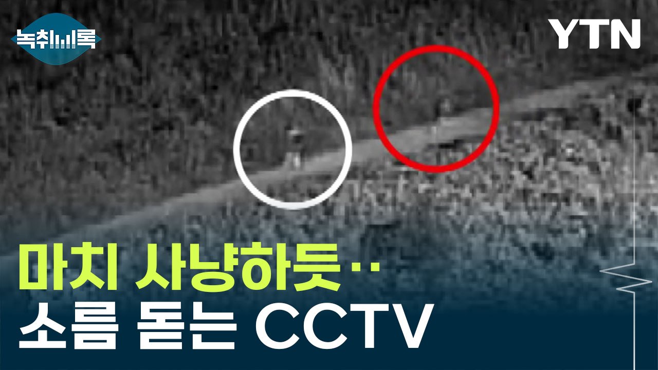 여성 확 낚아채 수풀로...'산책로 강제추행' 사건 당시 영상 공개 [Y녹취록] / YTN
