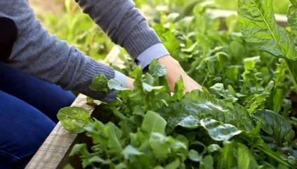 Documental "Frente a la Gran Mentira" parte 2