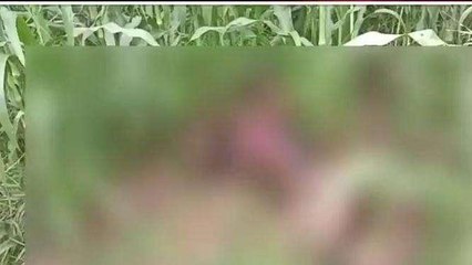 आगरा: बाजरे के खेत से आ रही दुर्गंध, अंदर नजारा देख पुलिस के भी उड़े होश