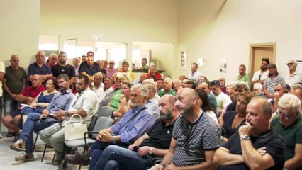 Πρωτοφανής η ακαρπία στον ελαιώνα της Στυλίδας - Αποζημίωση διεκδικεί ο αγροτικός συνεταιρισμός