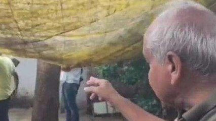 छिंदवाड़ा: तेंदुए की दस्तक, रिहायसी क्षेत्र में हिरण का किया शिकार
