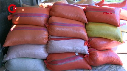 SEZONUN İLK FINDIĞI PAZARA İNDİ