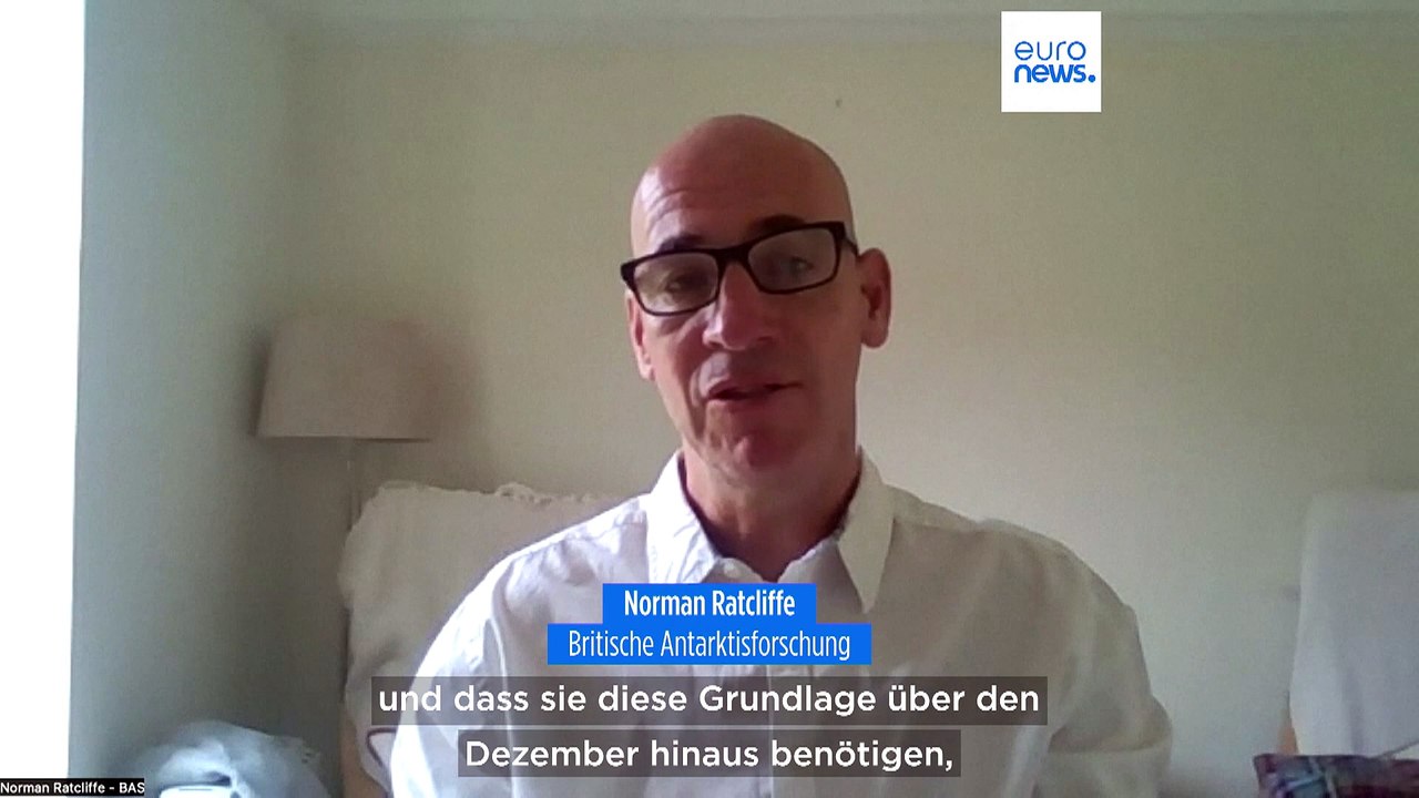 Massensterben von Pinguinküken durch vorzeitig schmelzendes Eis