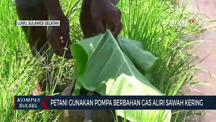 Petani Gunakan Pompa Berbahan Gas Aliri Sawah Kering