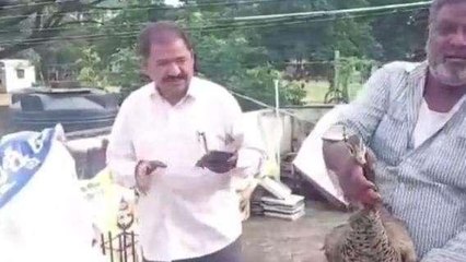 పెద్దపల్లి: కరెంట్ తీగలు తగిలి నెమలి మృతి