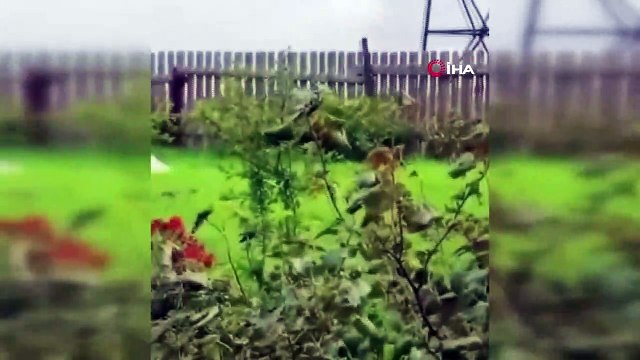 Ölmediği yönünde iddialar ortaya atılan Prigojin'in kılıktan kılığa girdiği fotoğraflar ortaya çıktı