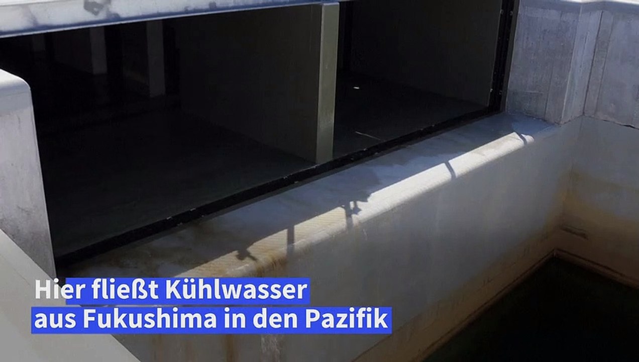 Japan leitet Wasser aus Akw Fukushima in den Pazifik