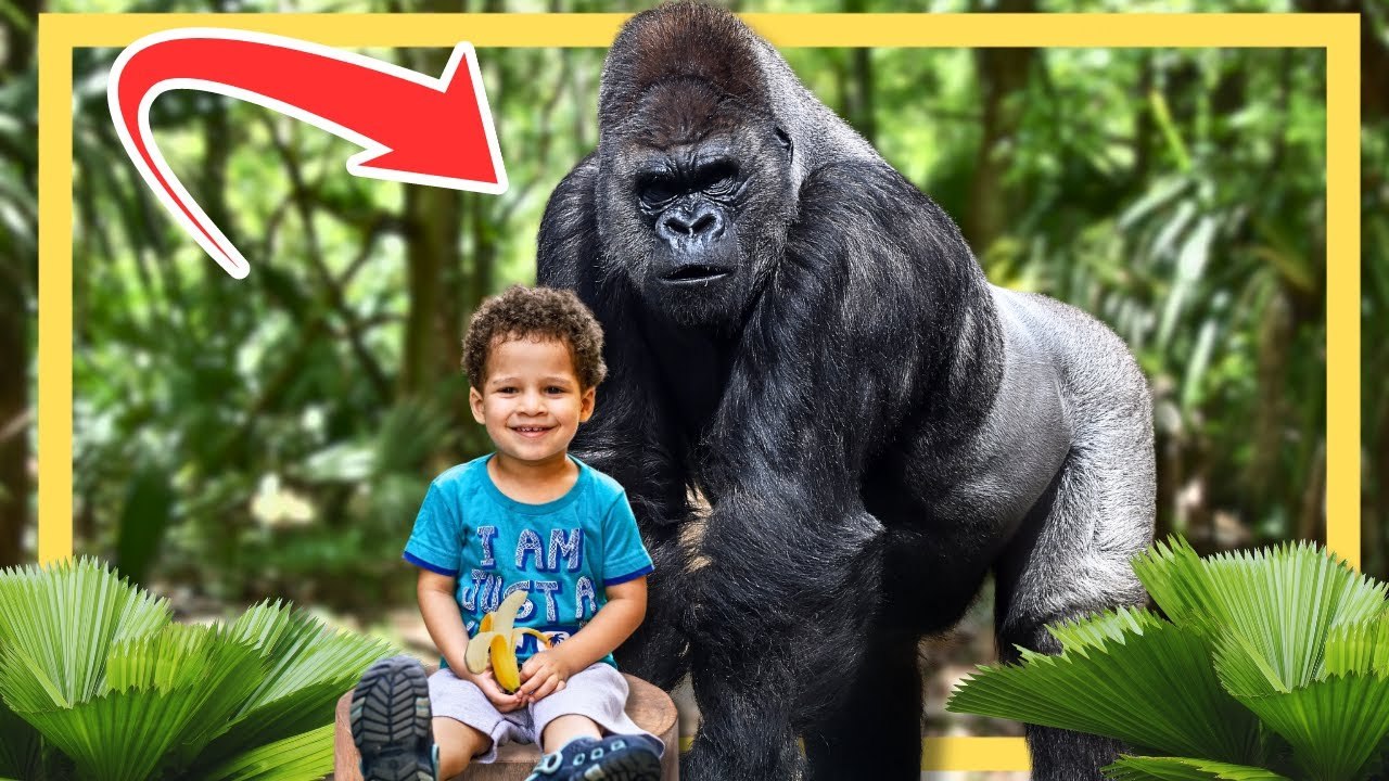 WILDE Tiere, die Menschenleben retteten