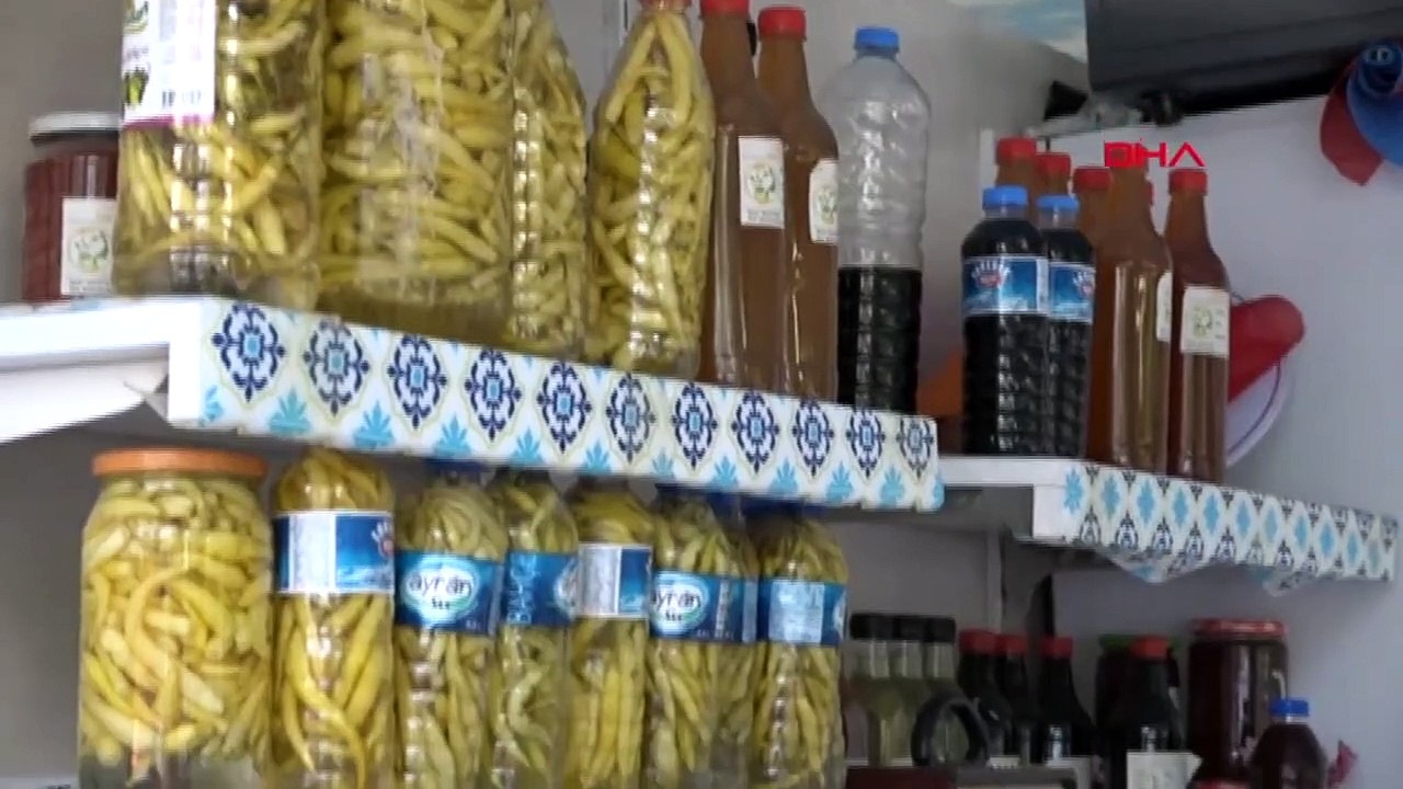 Production de blé ancestral de Karakılçık au pays du travail des femmes dans la municipalité méditerranéenne