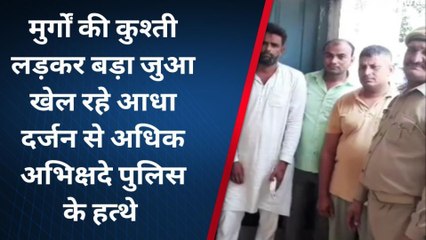 शामली: मुर्गों की लड़ाई में दांव पर लगा दी 'इज्जत', आधा दर्जन लोगों को हुए हवालात के दर्शन