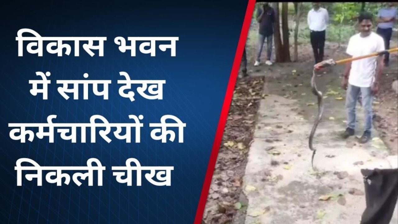 बागपत: डीएम के 'ऑफिस' में फन फैलाए बैठा था कोबरा, मच गया हड़कंप