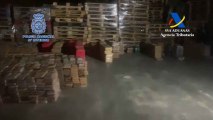 La Policía incauta en Algeciras el mayor alijo de cocaína en España: 9.500 kg ocultos entre bananas