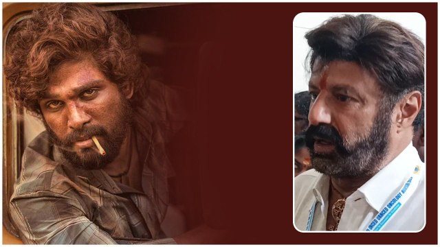 తెలుగోడి గర్వం Allu Arjun .. నందమూరి బాలకృష్ణ ప్రశంసల వర్షం | FilmiBeat Telugu