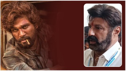 తెలుగోడి గర్వం Allu Arjun .. నందమూరి బాలకృష్ణ ప్రశంసల వర్షం | FilmiBeat Telugu