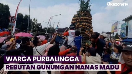 Serunya Gunungan Nanas Madu jadi Rebutan Warga Dikarnaval Budaya