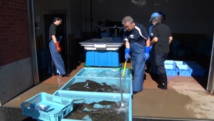 اليابان.. هل تهدد مياهها المعالجة حياة البشر؟